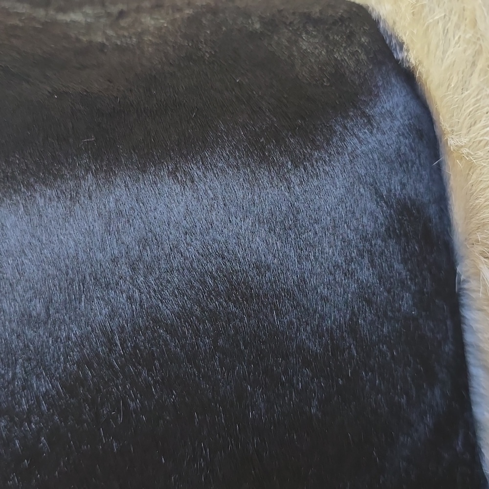 Calf Hair Bag - Picture 10 of 10